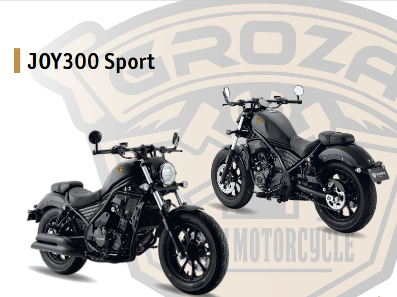 Мотоцикл GROZA XS300 JOY